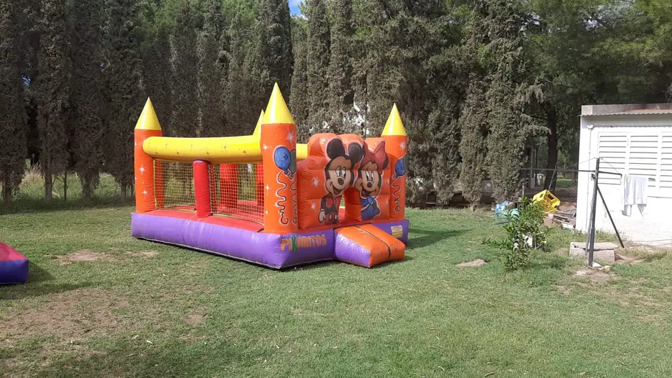 Inflable castillo para chicos