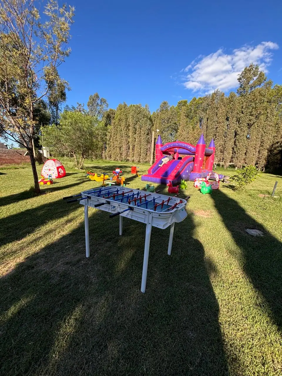 Inflables y juegos armados en un parque