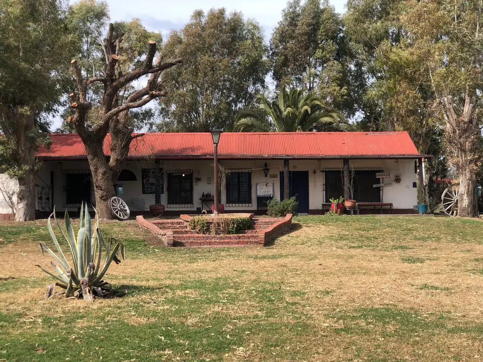 Casco de la estancia con parque y arboleda · Estancia Loma del Rodeo